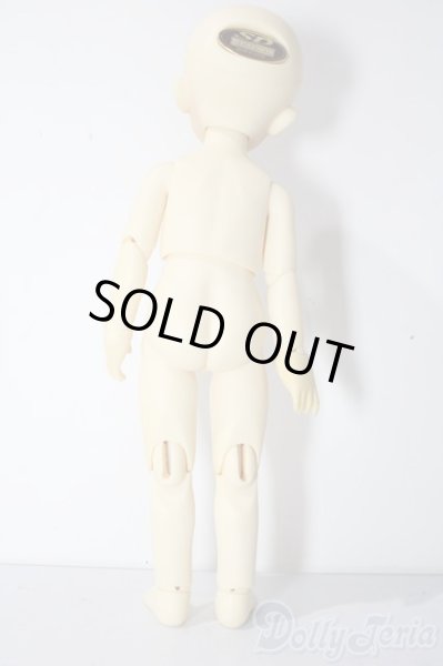 画像5: 幼SD/ピッコロ　クラウンド ホワイト キング U-25-11-05-211-TN-ZU (5)