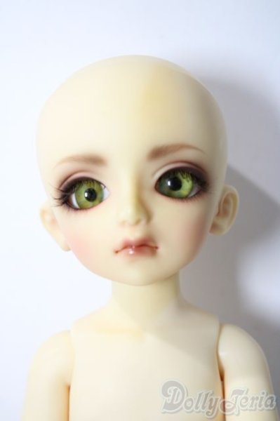 画像7: 幼SD/ピッコロ　クラウンド ホワイト キング U-25-11-05-211-TN-ZU (7)