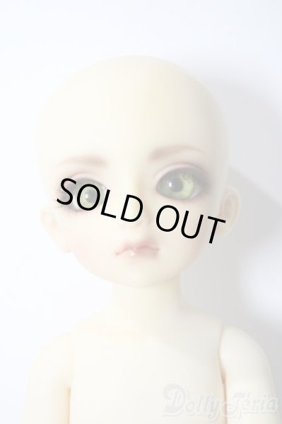 画像7: 幼SD/ピッコロ　クラウンド ホワイト キング U-25-11-05-211-TN-ZU (7)