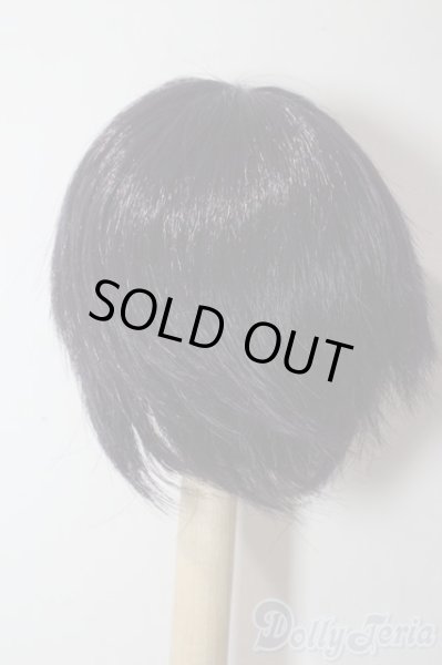 画像2: 8-9inch/ウィッグ U-25-11-05-091-TN-ZU (2)