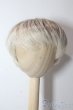 画像1: 9inch/DOLLCE ウィッグ U-25-11-05-110-TN-ZU (1)