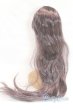 画像2: 9-10inch/ウィッグ U-25-10-21-250-TN-ZU (2)