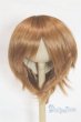 画像1: 9-10inch/ウィッグ U-25-10-21-277-TN-ZU (1)