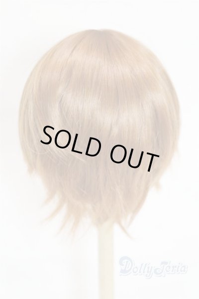 画像2: 9-10inch/ウィッグ U-25-10-21-277-TN-ZU (2)