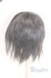 画像2: 9-10inch/ウィッグ U-25-10-21-288-TN-ZU (2)