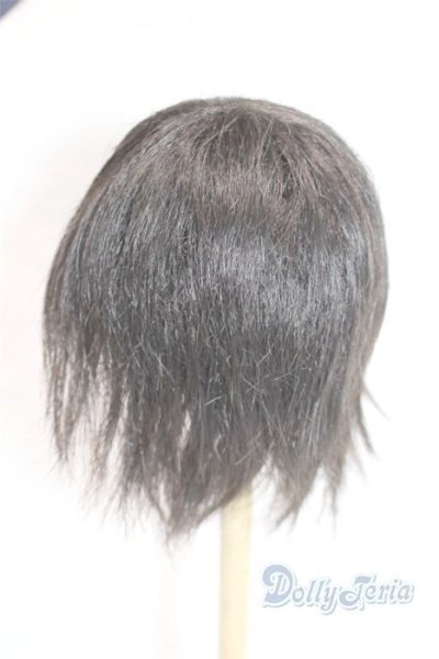 画像2: 9-10inch/ウィッグ U-25-10-21-288-TN-ZU (2)