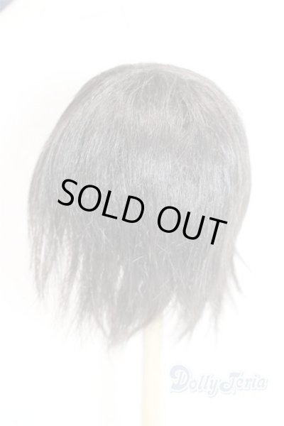 画像2: 9-10inch/ウィッグ U-25-10-21-288-TN-ZU (2)