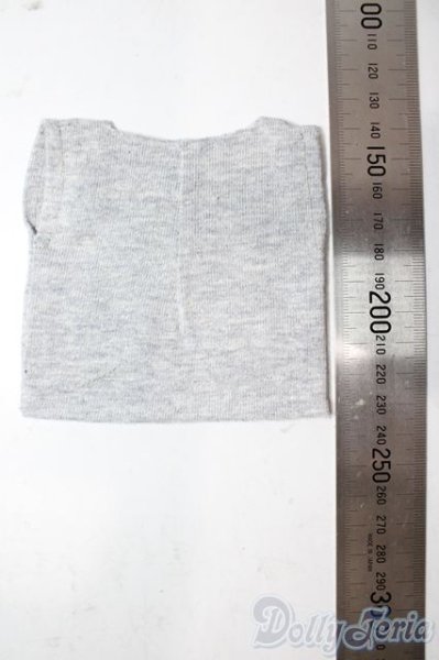 画像2: SDM＆MSD/OF:トップス U-25-11-05-142-TN-ZU (2)