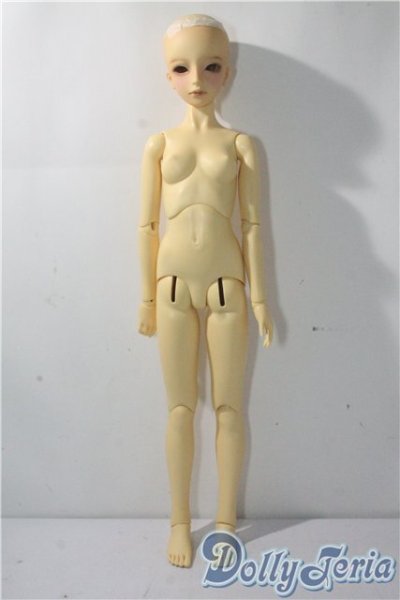 画像6: SD13/教室Cヘッド(刻印:43番)Ciera様メイク  U-25-10-28-217-TN-ZU (6)