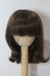 画像1: 6-7inch/ウィッグ U-25-11-05-073-TN-ZU (1)