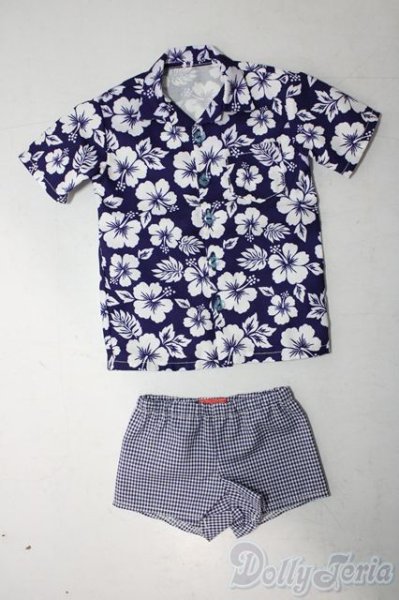 画像1: SD17B/OF:衣装セット U-25-11-05-126-TN-ZU (1)