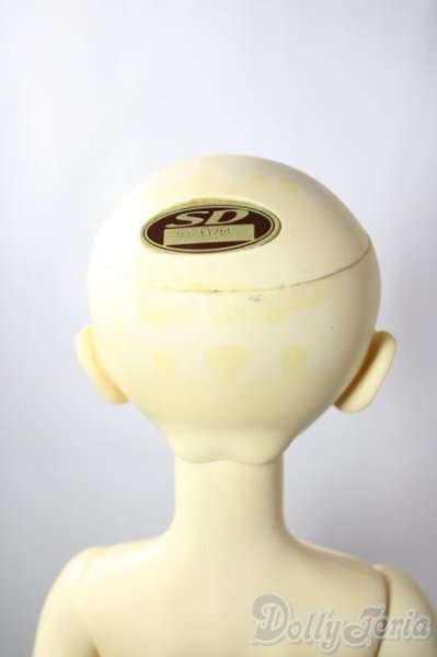 画像8: SD女の子/ミミ U-25-11-05-217-TN-ZU (8)