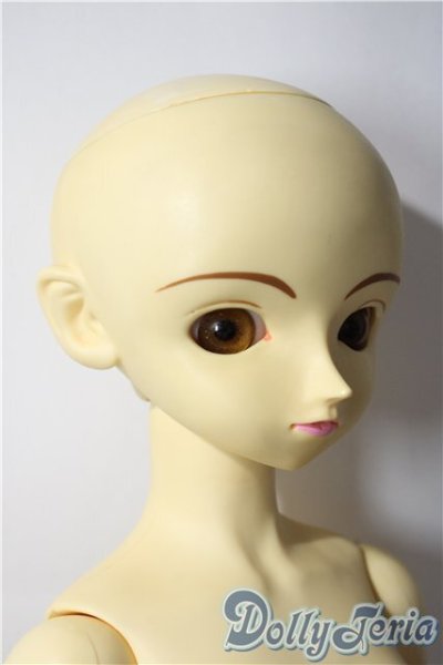 画像6: SD女の子/ミミ U-25-11-12-217-TN-ZU (6)