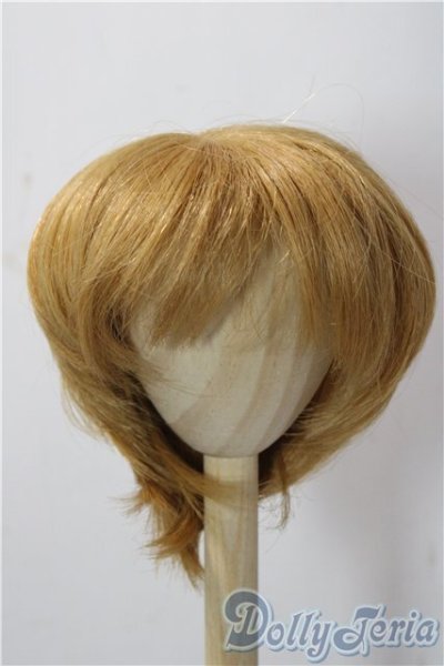 画像1: 9-10inch/ウィッグ U-25-12-17-080-TN-ZU (1)