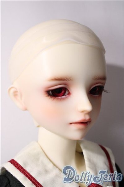 画像6: SD/アダプションモデル:F-55 U-25-11-12-220-TN-ZU (6)