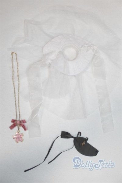 画像2: SDM＆MSD/OF:小物 U-25-11-12-249-TN-ZU (2)