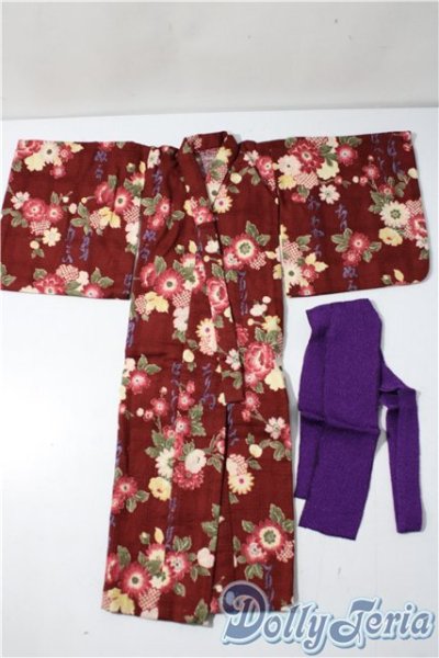 画像1: SD/OF:衣装セット U-25-11-12-088-TN-ZU (1)