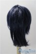 画像2: 8-9inch/ウィッグ A-25-11-12-1090-TN-ZU (2)