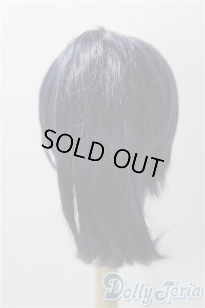 画像2: 8-9inch/ウィッグ A-25-11-12-1090-TN-ZU (2)