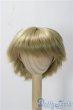 画像1: 7-8inch/ウィッグ U-25-11-19-044-TN-ZU (1)