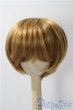 画像1: 9-10inch/ウィッグ U-25-11-19-024-TN-ZU (1)
