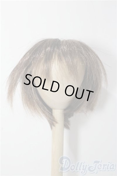 画像1: 9-10inch/ウィッグ U-25-11-19-013-TN-ZU (1)