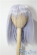 画像1: 9-10inch/ウィッグ U-25-11-19-009-TN-ZU (1)
