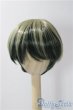 画像1: 8-9inch/ウィッグ U-25-11-19-035-TN-ZU (1)