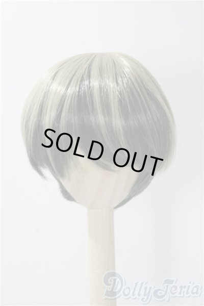 画像1: 8-9inch/ウィッグ U-25-11-19-035-TN-ZU (1)