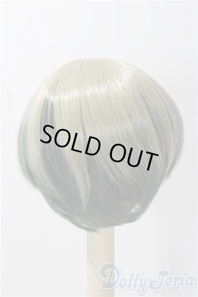 画像2: 8-9inch/ウィッグ U-25-11-19-035-TN-ZU (2)