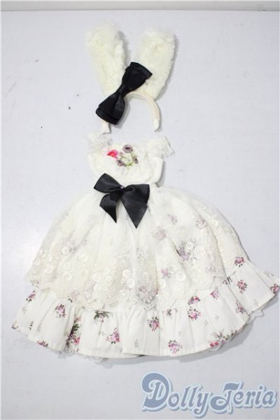 画像1: SD/OF:衣装セット U-25-11-26-097-TN-ZU (1)