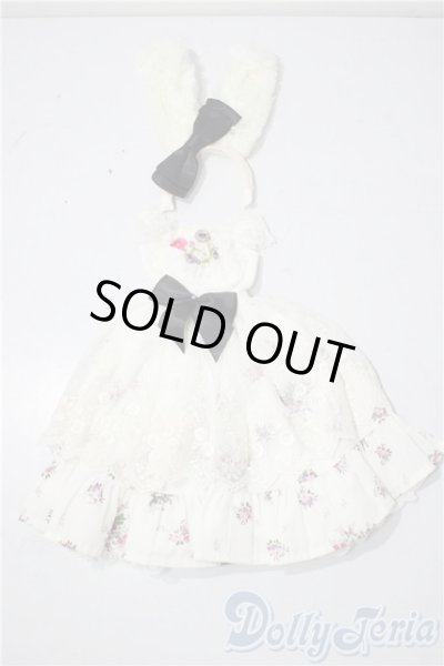 画像1: SD/OF:衣装セット U-25-11-26-097-TN-ZU (1)