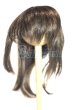 画像1: 7-8inch/ウィッグ/インチ　BJD　MJD　ドール用 U-26-07-08-248-TN-ZU (1)