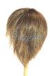 画像2: 7-8inch/ウィッグ/インチ　BJD　MJD　ドール用 U-26-07-08-239-TN-ZU (2)