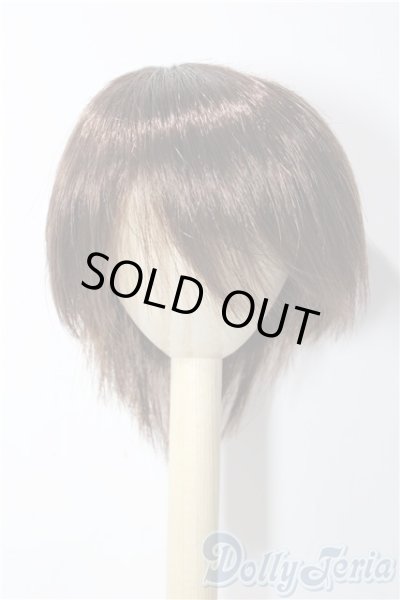 画像1: 8-9inch/ウィッグ U-25-11-26-198-TN-ZU (1)