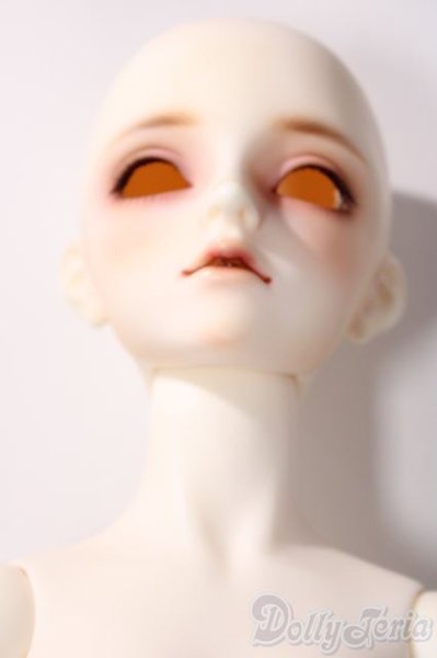 画像7: SD女の子/フルチョイスF-105 U-25-11-19-216-TN-ZU (7)