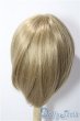 画像2: 9-10inch/ウィッグ U-25-11-26-188-TN-ZU (2)