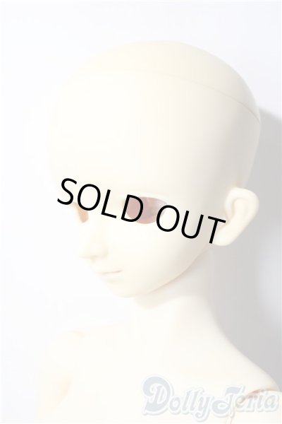 画像2: SD13女の子/フルチョイスF-25 U-25-11-26-220-TN-ZU (2)