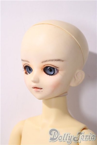 画像2: MSD/スタンダードモデル健 U-25-11-26-213-TN-ZU (2)