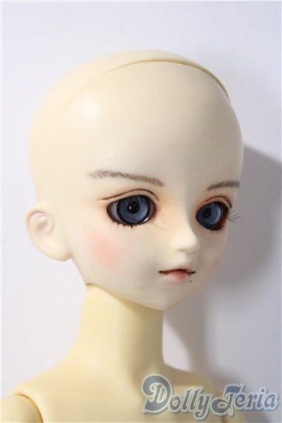 画像3: MSD/スタンダードモデル健 U-25-11-26-213-TN-ZU (3)