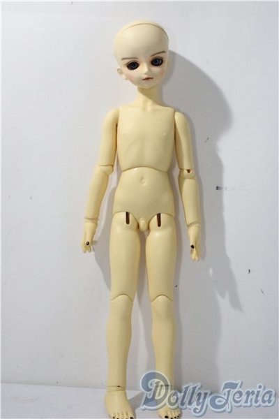 画像4: MSD/スタンダードモデル健 U-25-11-26-213-TN-ZU (4)