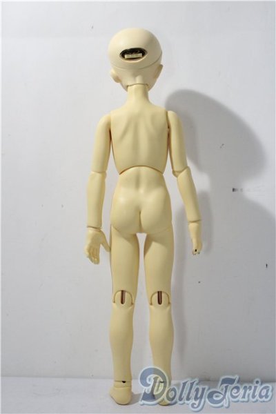 画像5: MSD/スタンダードモデル健 U-25-11-26-213-TN-ZU (5)