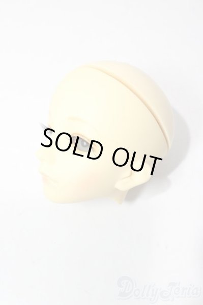 画像2: SD/教室Cヘッド U-25-12-03-209-TN-ZU (2)