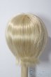 画像2: 9-10inch/ウィッグ U-25-12-03-097-TN-ZU (2)