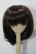 画像1: 9-10inch/ウィッグ U-25-12-03-107-TN-ZU (1)