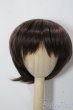 画像1: 9-10inch/ウィッグ U-25-12-03-108-TN-ZU (1)