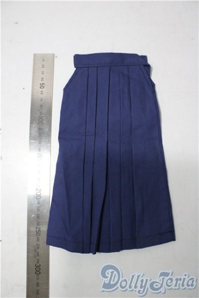 画像2: SD/OF:衣装セット U-25-11-26-139-TN-ZU (2)