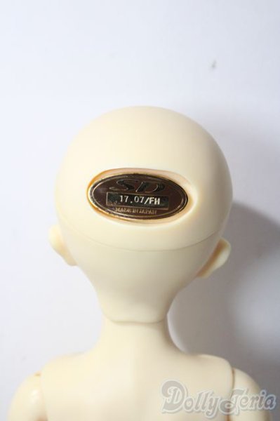 画像6: SDM/フルチョイスF-36 U-25-12-03-217-TN-ZU (6)