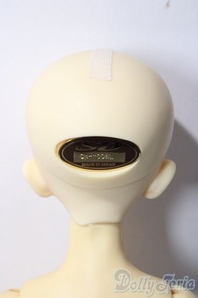 画像7: SDM女の子/コーディネートモデルF-45 U-25-12-03-218-TN-ZU (7)