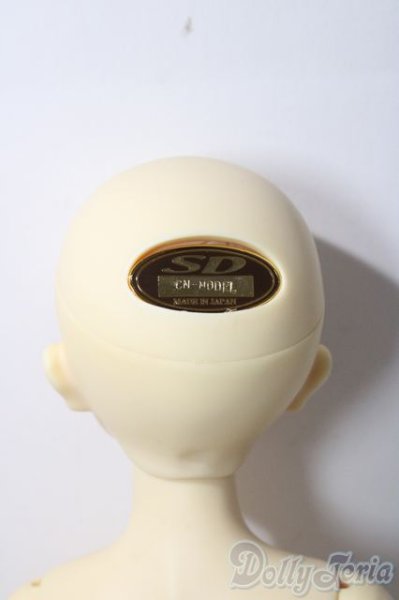 画像7: SDM女の子/F-39　コ-ディネートモデル U-25-12-03-220-TN-ZU (7)